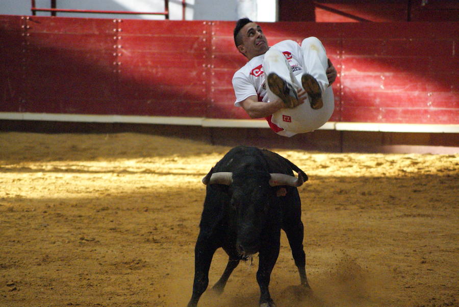 Concurso de cortes de La Flecha.