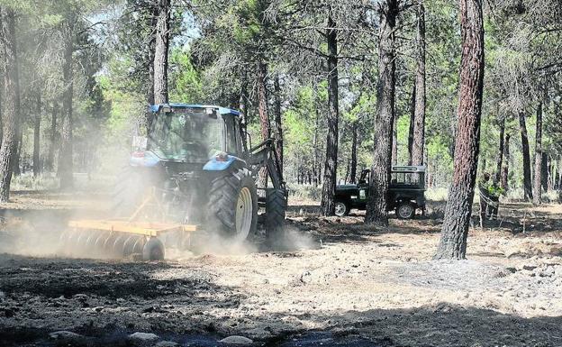 El calor extremo mantiene en alerta a los retenes de Navalilla