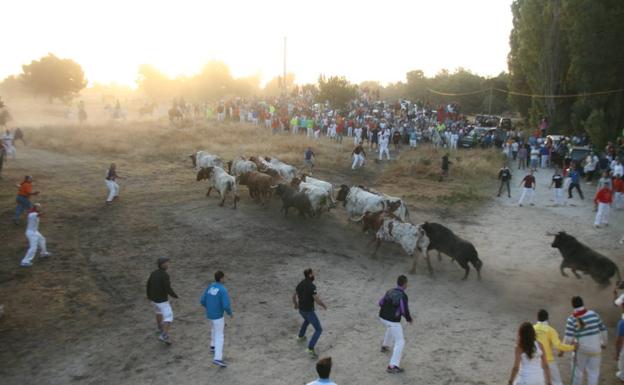 Salida del encierro de los corrales del Cega. /M. R.