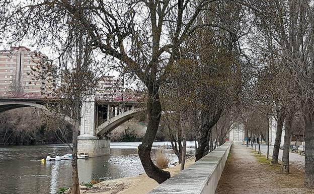 Ribera del Pisuerga en Valladolid