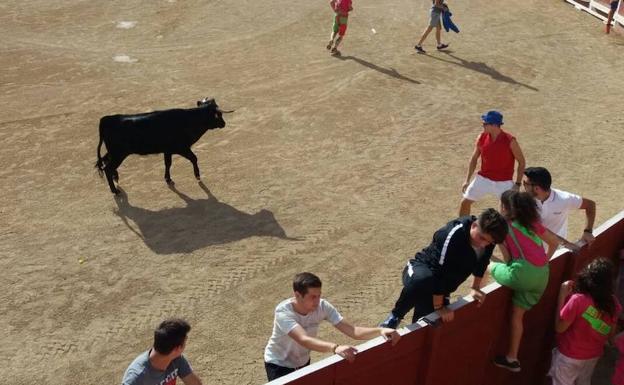 Festejo taurino en Mojados. /CRUZ CATALINA
