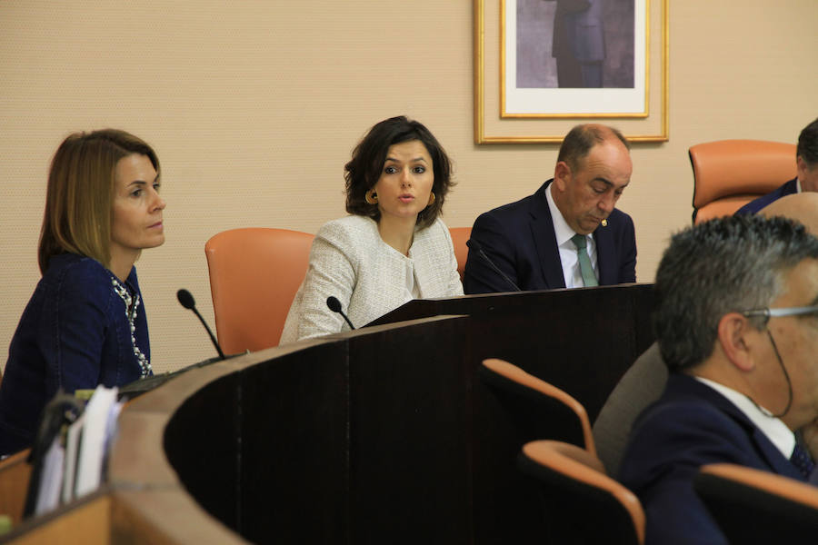 Sara Dueñas (centro), interviene en el pleno de ayer. /Tanarro