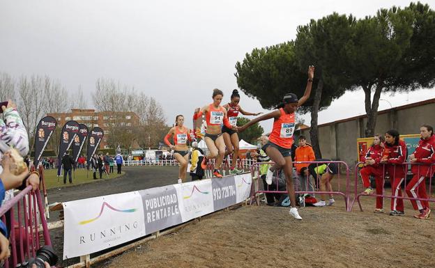 Alemitu Heroye supera un obstáculo, con Salome Rocha, Trihas Gebre y Catarina Ribeiro detrás, en una edición anterior del Cros de Venta de Baños. /Antonio Quintero