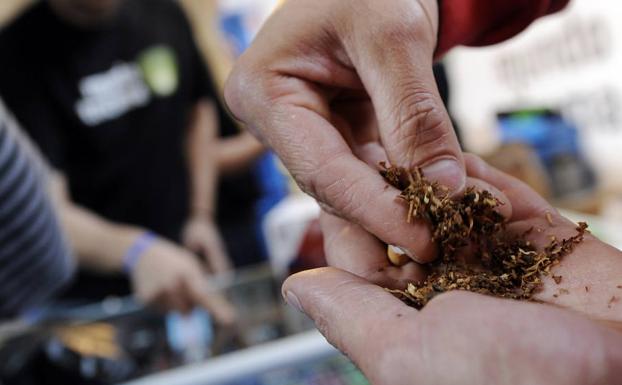 Hombre se prepara un cigarrillo de marihuana en la feria Expo Cannabis que se celebra en Leganés. /Javier Soriano (Afp)
