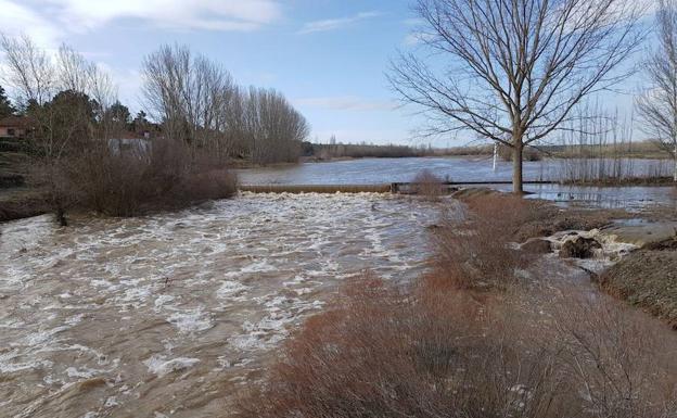 El río Voltoya, por el paraje de La Irvienza./Miguel Marugán/ El Norte.