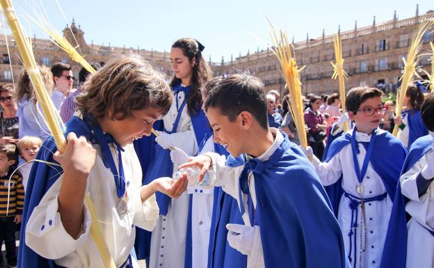 Procesión del Domingo de Ramos de 2017./WORD