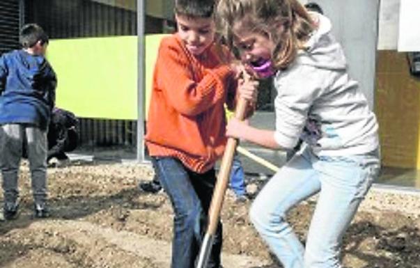 Dos alumnos preparan el surco en el huerto escolar./S. F.