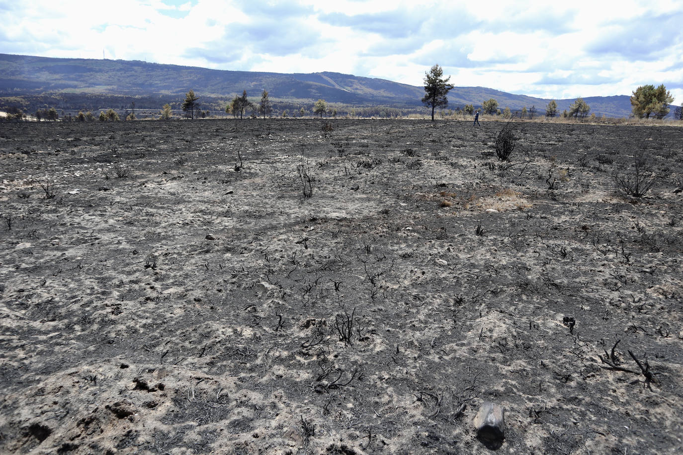 Fotos Así se encuentra la Sierra de la Culebra Zamora tras el paso