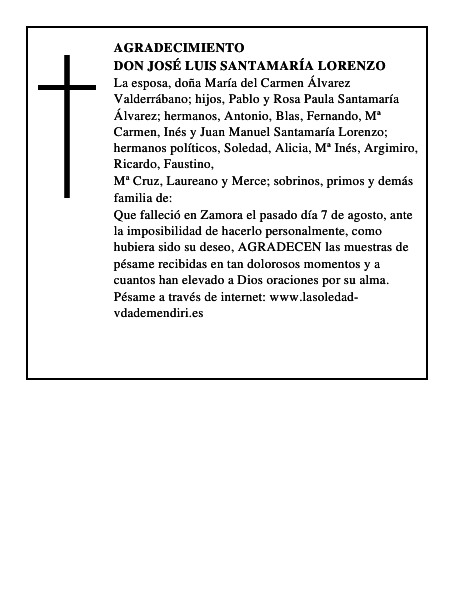 Don José Luis Santamaría Lorenzo