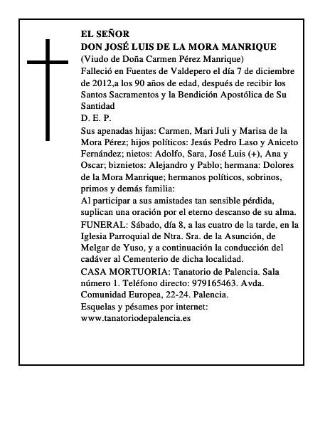 Don José Luis de la Mora Manrique