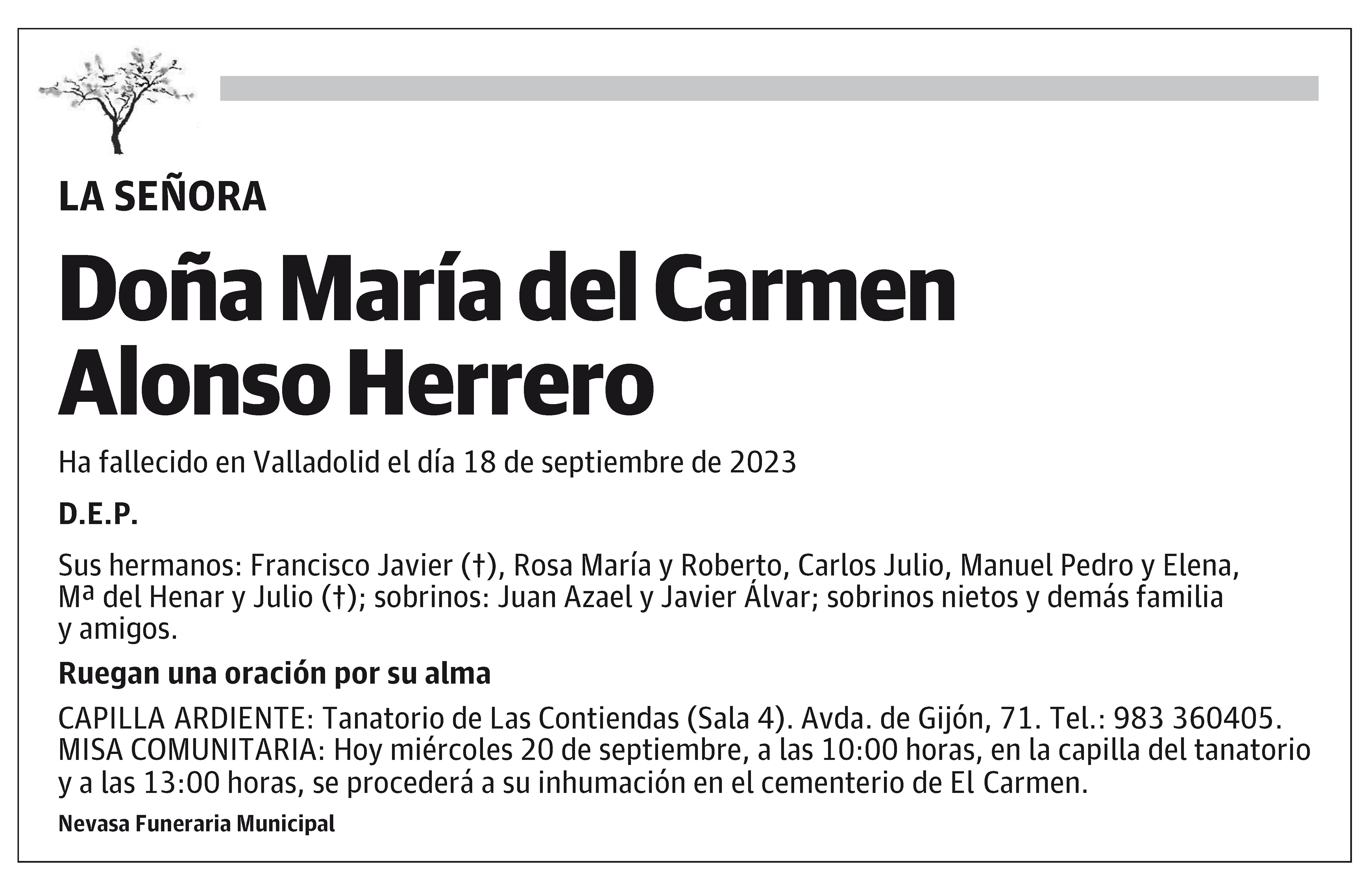 María del Carmen Alonso Herrero