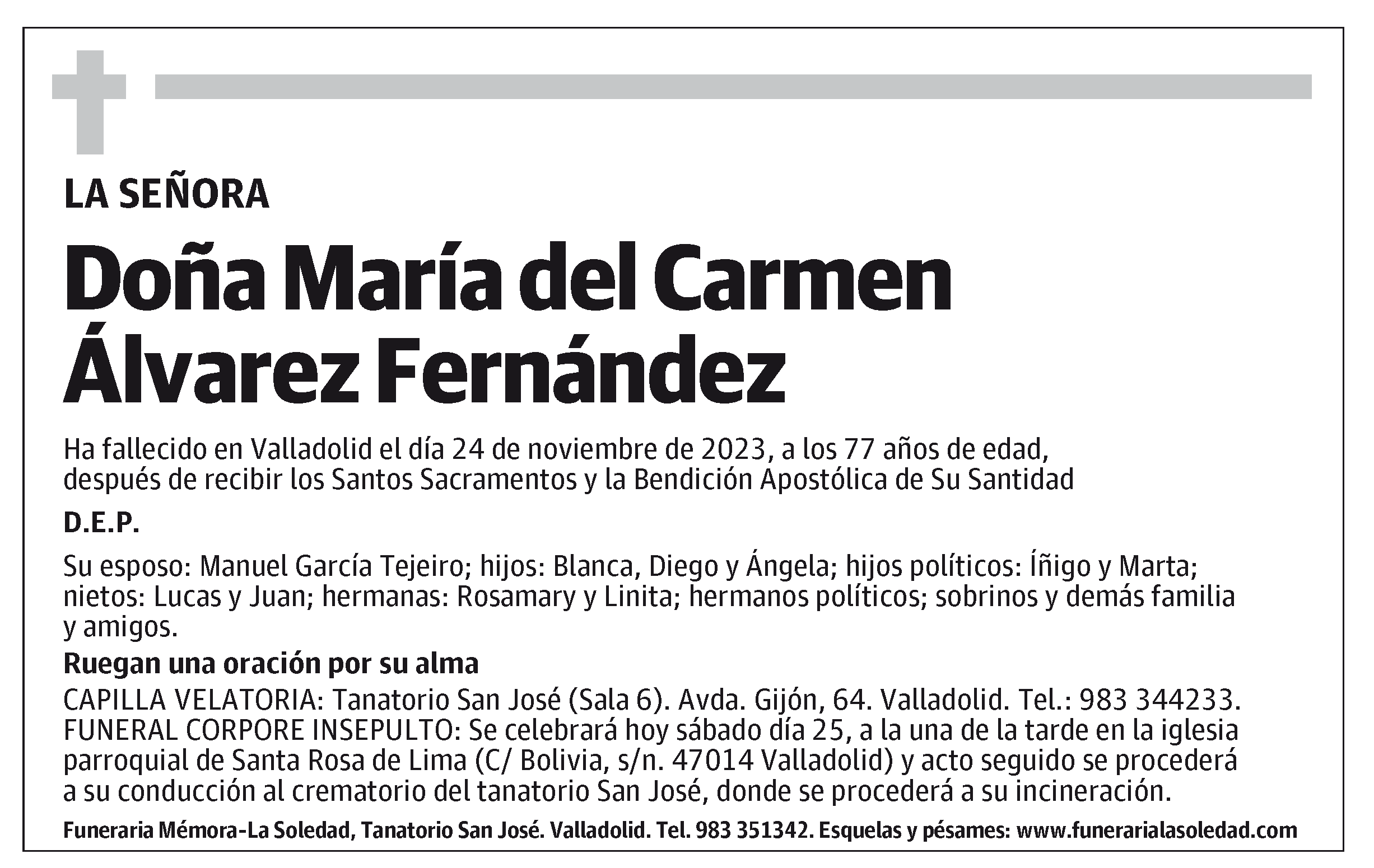 María del Carmen Álvarez Fernández