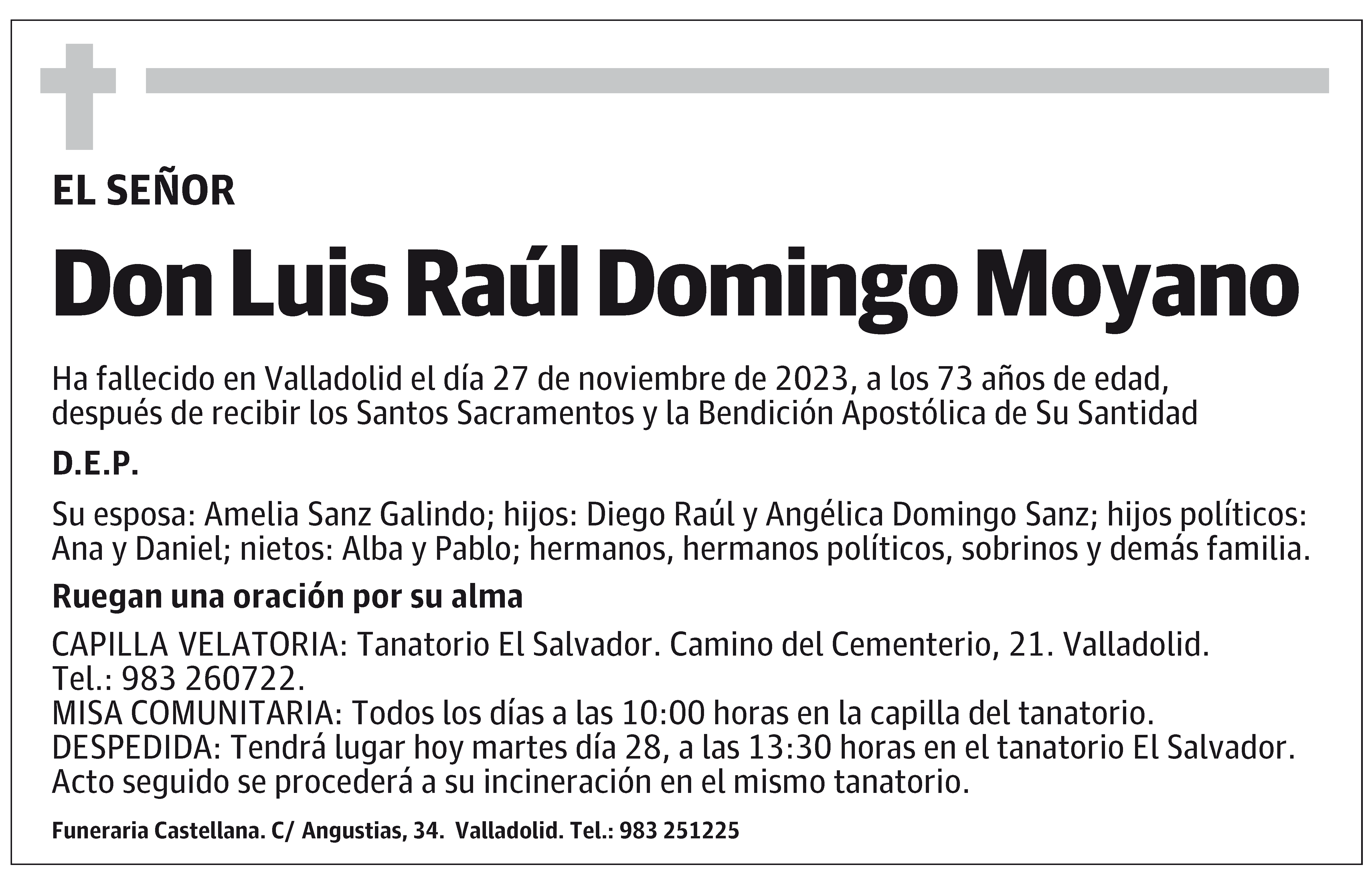 Luis Raúl Domingo Moyano