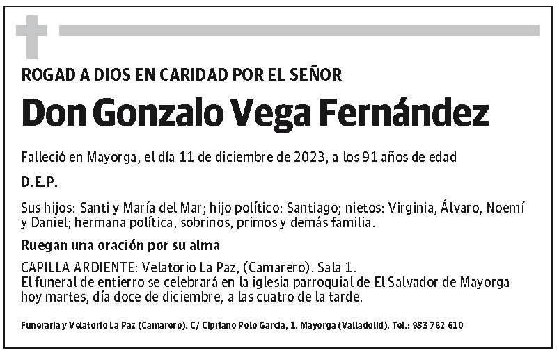 Gonzalo Vega Fernández