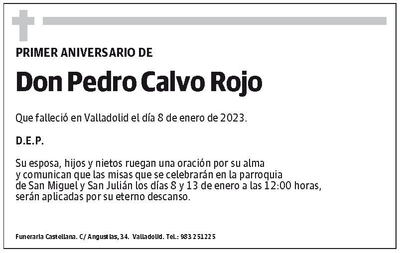 Pedro Calvo Rojo