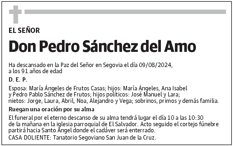 Pedro Sánchez del Amo