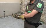 Un agente medioambiental muestra la culebra./Twiter del servicio 112