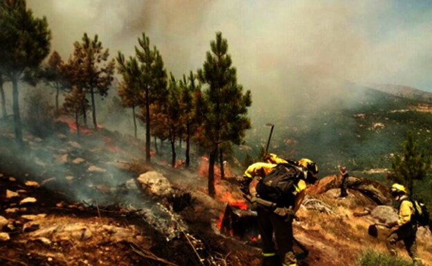 Efectivos de las Brigadas de Refuerzo de Incendios Forestales (BRIF) realizan tareas de extinción en el incendio de Casavieja (Ávila)./@AT_BRIF