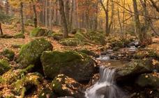 Valle del Lozoya, entre las últimas hojas y las primeras nieves