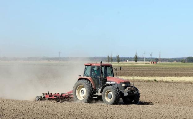 Un tractor preparaba la tierra el pasado miércoles en la comarca abulense de la Moraña./Henar Sastre
