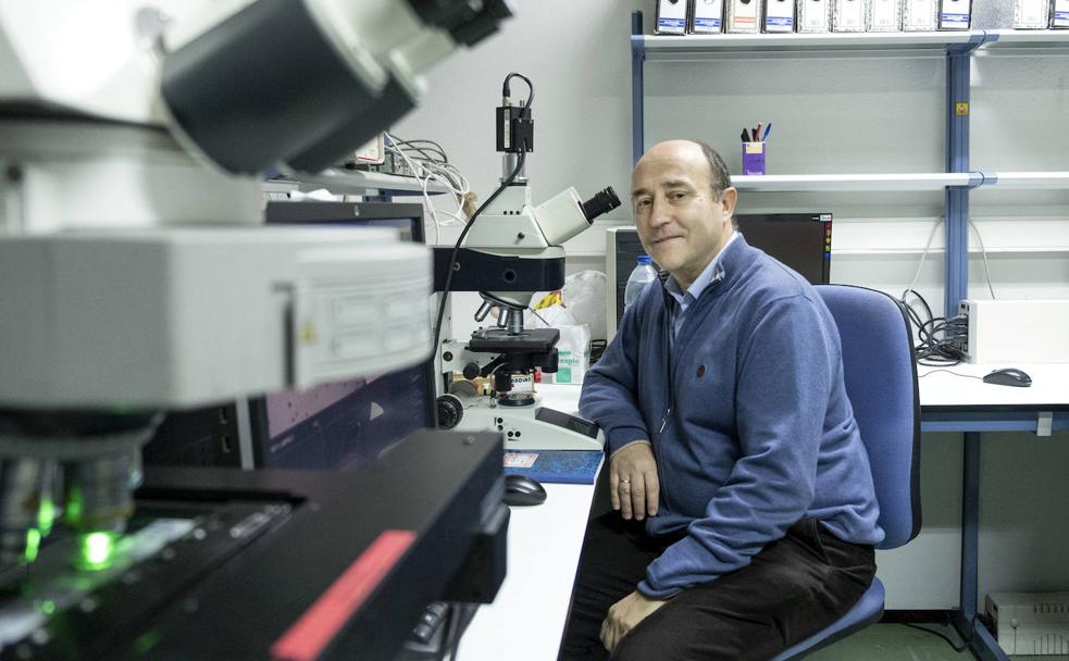 El doctor Jesús María Hernández, del Ibsal./FORMIGO / ICAL