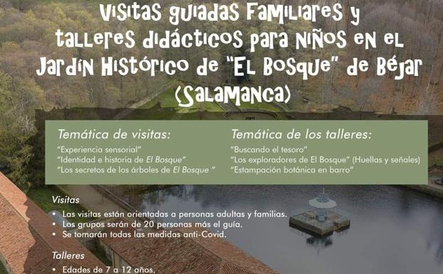 El Bosque de Béjar muestra sus secretos en un programa de visitas guiadas  familiares y talleres didácticos para niños hasta el 15 de septiembre | El  Norte de Castilla