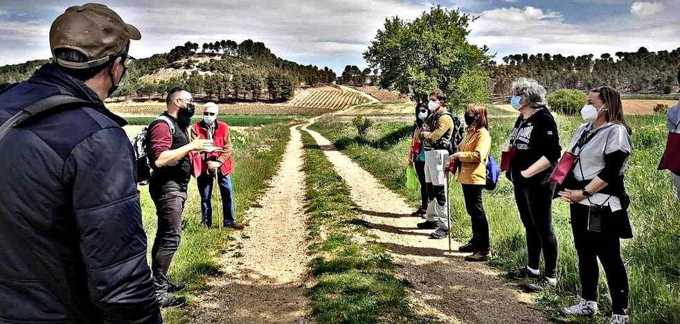 Cigales, enoturismo los 365 días - Vimarsana News