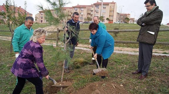 La empresa Tahler dona 35 árboles para forestar el Barranco del Lobo | El  Norte de Castilla
